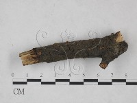 登錄號:F0025208藏品圖，第3張