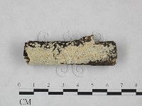 登錄號:F0025209藏品圖，第1張