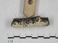 登錄號:F0025209藏品圖，第3張