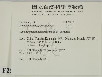 登錄號:F0025210藏品圖，第2張