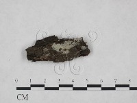 登錄號:F0025210藏品圖，第1張