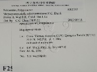 登錄號:F0025212藏品圖，第2張