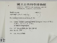 登錄號:F0025214藏品圖，第2張