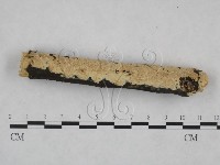 登錄號:F0025214藏品圖，第3張