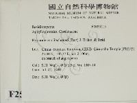 登錄號:F0025215藏品圖，第2張