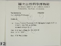 登錄號:F0025216藏品圖，第2張