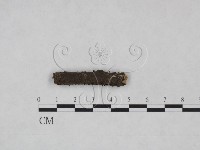 登錄號:F0025218藏品圖，第1張