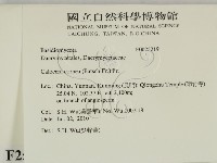 登錄號:F0025219藏品圖，第2張