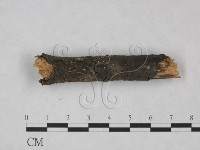 登錄號:F0025219藏品圖，第3張