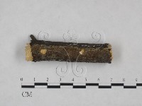 登錄號:F0025220藏品圖，第1張