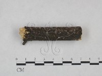 登錄號:F0025220藏品圖，第3張