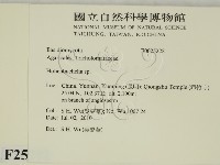 登錄號:F0025222藏品圖，第2張