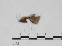 登錄號:F0025222藏品圖，第1張