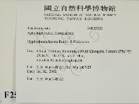 登錄號:F0025223藏品圖，第2張