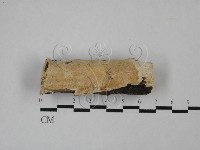 登錄號:F0025224藏品圖，第1張