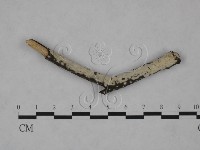 登錄號:F0025226藏品圖，第1張