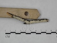 登錄號:F0025226藏品圖，第3張