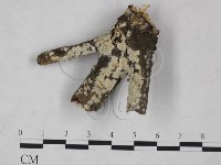 登錄號:F0025228藏品圖，第3張
