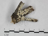 登錄號:F0025228藏品圖，第4張