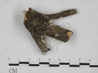 登錄號:F0025228藏品圖，第5張