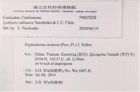 登錄號:F0025228藏品圖，第6張