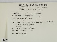 登錄號:F0025229藏品圖，第2張