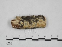 登錄號:F0025230藏品圖，第1張