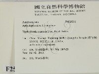 登錄號:F0025231藏品圖，第2張