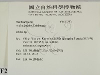登錄號:F0025232藏品圖，第2張