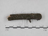 登錄號:F0025232藏品圖，第1張
