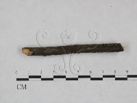 登錄號:F0025234藏品圖，第3張