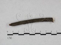 登錄號:F0025234藏品圖，第4張