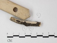 登錄號:F0025235藏品圖，第3張