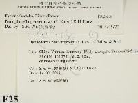 登錄號:F0025236藏品圖，第2張