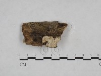 登錄號:F0025237藏品圖，第1張