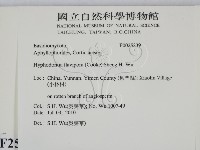 登錄號:F0025239藏品圖，第2張