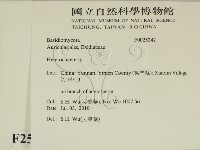 刺皮菌屬藏品圖，第2張