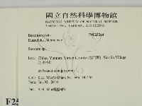 韌革菌屬藏品圖，第2張