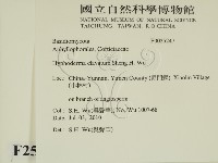 登錄號:F0025247藏品圖，第2張