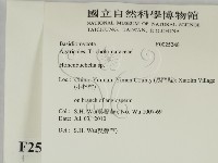 登錄號:F0025248藏品圖，第2張