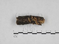 登錄號:F0025248藏品圖，第1張