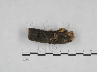 登錄號:F0025248藏品圖，第4張