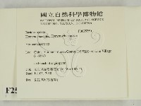 刺革菌屬藏品圖，第2張