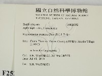 登錄號:F0025252藏品圖，第2張