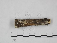 登錄號:F0025252藏品圖，第4張