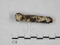 登錄號:F0025252藏品圖，第5張