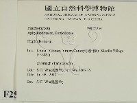 絲皮菌屬藏品圖，第2張