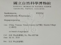 登錄號:F0025261藏品圖，第2張