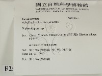 登錄號:F0025262藏品圖，第2張