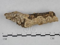 登錄號:F0025262藏品圖，第1張